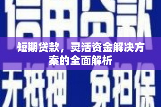 泸水短期贷款，灵活资金解决方案的全面解析