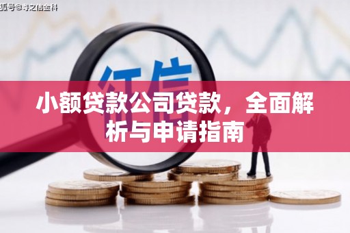 泸水小额贷款公司贷款，全面解析与申请指南