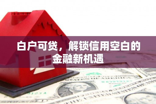 泸水白户可贷，解锁信用空白的金融新机遇