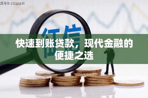 泸水快速到账贷款，现代金融的便捷之选