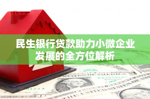 泸水民生银行贷款助力小微企业发展的全方位解析