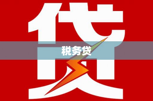 泸水税务贷
