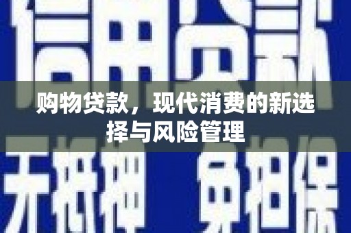 泸水购物贷款，现代消费的新选择与风险管理