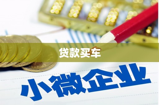 泸水贷款买车