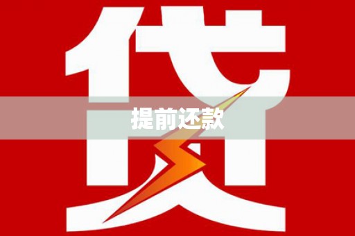 泸水提前还款