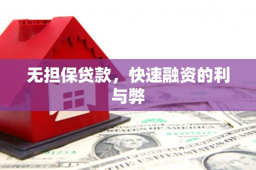 泸水无担保贷款，快速融资的利与弊