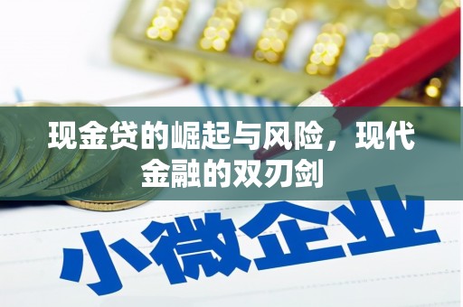 泸水现金贷的崛起与风险，现代金融的双刃剑