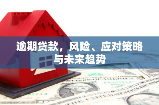泸水逾期贷款，风险、应对策略与未来趋势