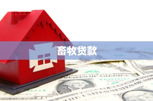 泸水畜牧贷款
