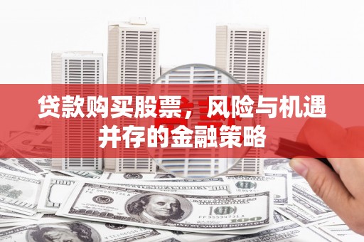 泸水贷款购买股票，风险与机遇并存的金融策略