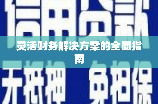 泸水灵活财务解决方案的全面指南