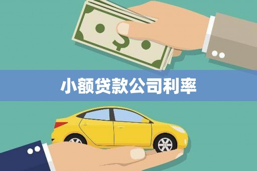 泸水小额贷款公司利率