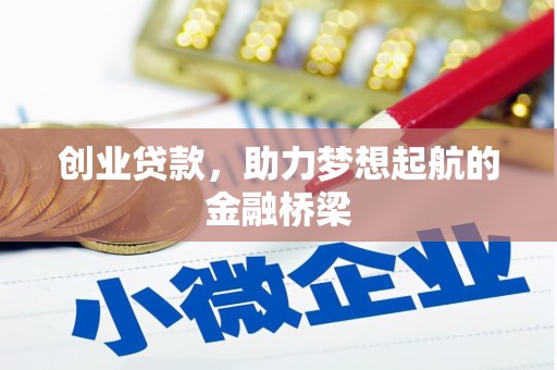 泸水创业贷款，助力梦想起航的金融桥梁