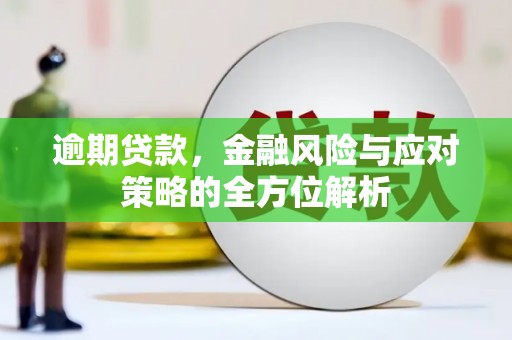 泸水逾期贷款，金融风险与应对策略的全方位解析