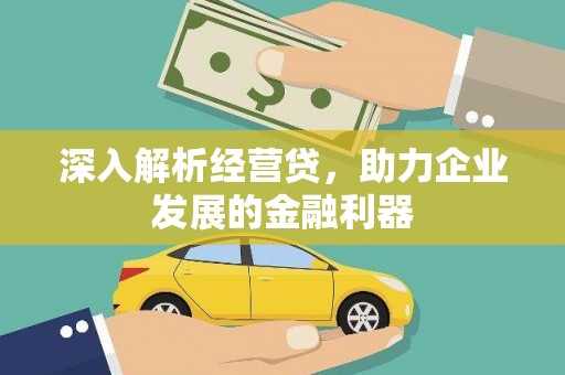 泸水深入解析经营贷，助力企业发展的金融利器