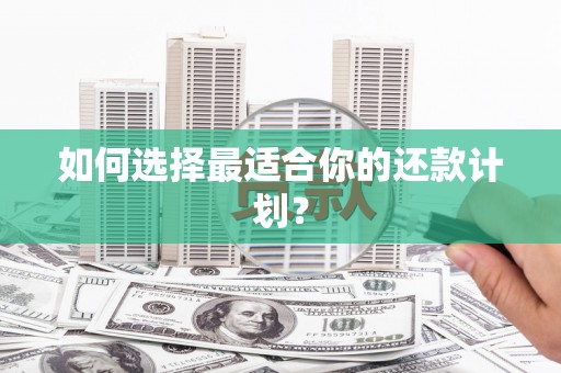 泸水如何选择最适合你的还款计划？