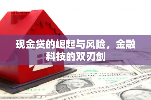 泸水现金贷的崛起与风险，金融科技的双刃剑