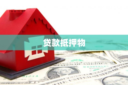 泸水贷款抵押物