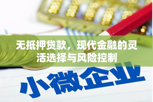 泸水无抵押贷款，现代金融的灵活选择与风险控制