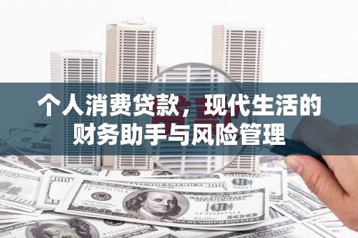 泸水个人消费贷款，现代生活的财务助手与风险管理