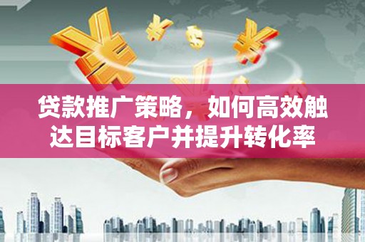 泸水贷款推广策略，如何高效触达目标客户并提升转化率