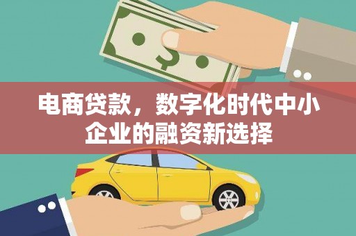 泸水电商贷款，数字化时代中小企业的融资新选择