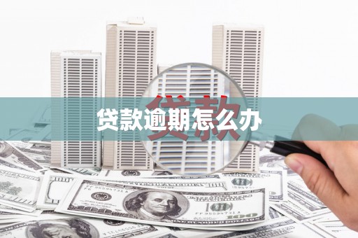 泸水贷款逾期怎么办