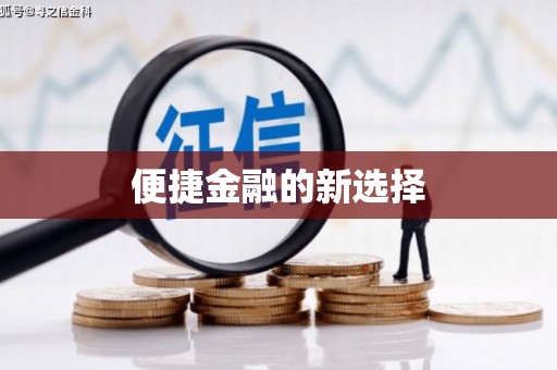 泸水便捷金融的新选择