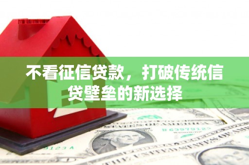 泸水不看征信贷款，打破传统信贷壁垒的新选择