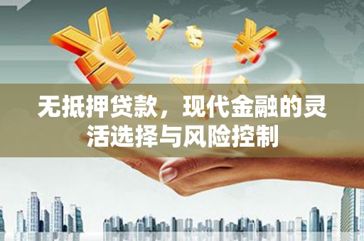 泸水无抵押贷款，现代金融的灵活选择与风险控制