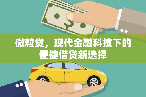 泸水微粒贷，现代金融科技下的便捷借贷新选择