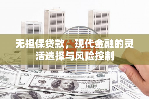 泸水无担保贷款，现代金融的灵活选择与风险控制