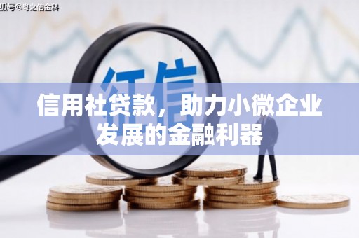 泸水信用社贷款，助力小微企业发展的金融利器