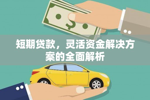 泸水短期贷款，灵活资金解决方案的全面解析
