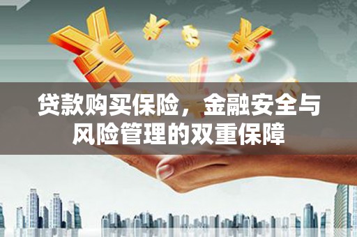 泸水贷款购买保险，金融安全与风险管理的双重保障