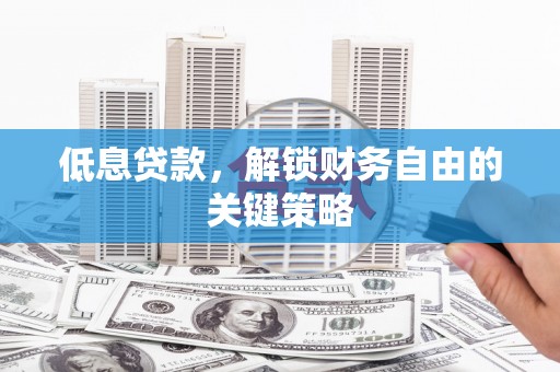 泸水低息贷款，解锁财务自由的关键策略