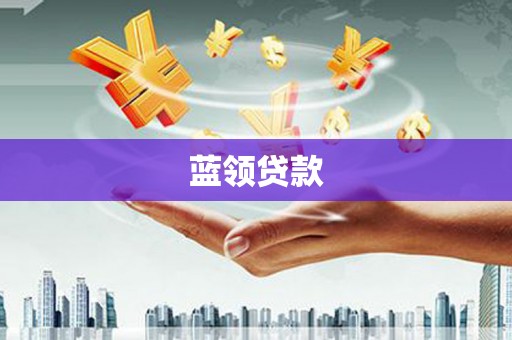 泸水蓝领贷款