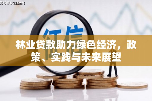 泸水林业贷款助力绿色经济，政策、实践与未来展望