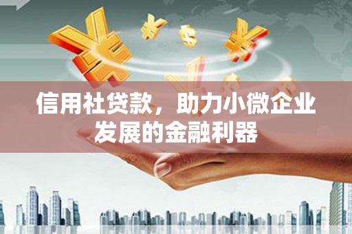 泸水信用社贷款，助力小微企业发展的金融利器