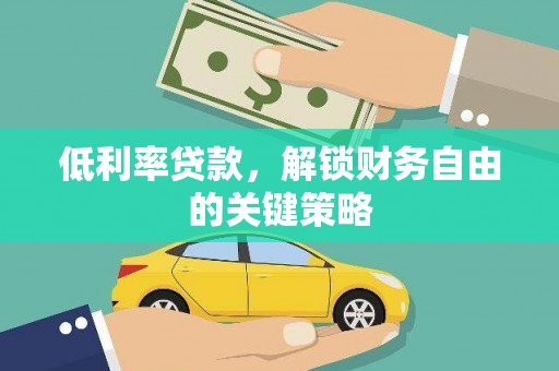 泸水低利率贷款，解锁财务自由的关键策略