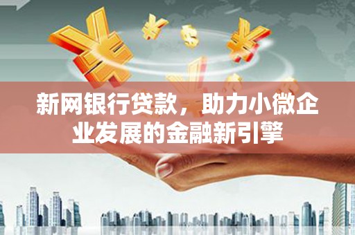 泸水新网银行贷款，助力小微企业发展的金融新引擎
