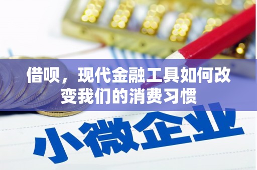 泸水借呗，现代金融工具如何改变我们的消费习惯
