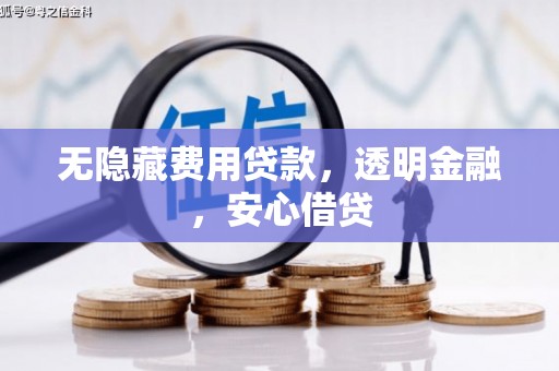 泸水无隐藏费用贷款，透明金融，安心借贷