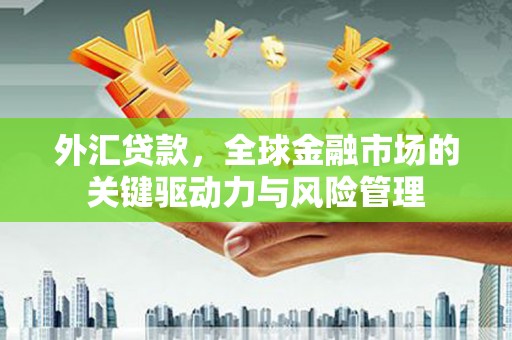 泸水外汇贷款，全球金融市场的关键驱动力与风险管理