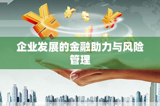 泸水企业发展的金融助力与风险管理