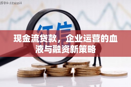 泸水现金流贷款，企业运营的血液与融资新策略
