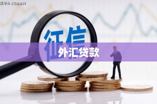 泸水外汇贷款