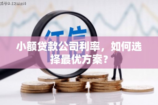 泸水小额贷款公司利率，如何选择最优方案？