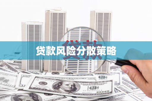 泸水贷款风险分散策略