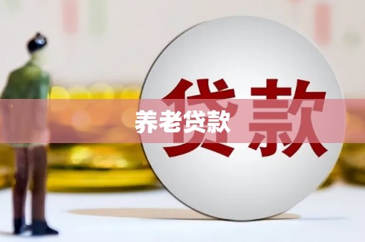 泸水养老贷款